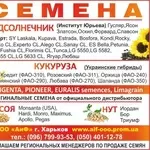 Семена подсолнечника (качественный посевной материал)