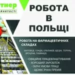 Робота в Польщі,  оформлення документів