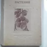 Акклиматизация растений.