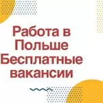 Официальное трудоустройство в Польше. Бесплатные вакансии. 