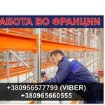 Франція. Від 1200 €/міс. Збирачі мeталeвих стeлажів.