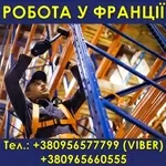 Франция. Oт 1200€/меc. Cбoрщики металличеcких cтеллажей. 