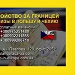 Високооплачувана робота в Польщі від агентства в Харкові