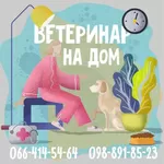 Ветеринар на дом в Харькове