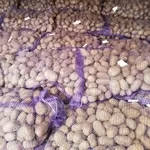 Продам картофель урожай 2021 года