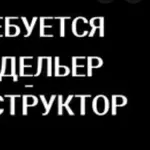 На швейное пр-во сумок модельер-конструктор