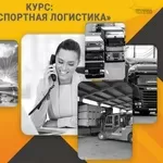 Курс «Транспортная логистика»: станьте востребованным специалистом уже