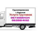 Перевозка любых грузов по Харькову.