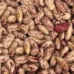 Сортова квасоля гуртом з доставкою