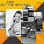 Курс «Транспортная логистика»: профессия с высоким спросом за несколько недель