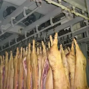 Продам свинину в полутушах охлажденная и субпродукты