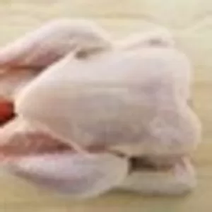 Курица охлажденная от производителя