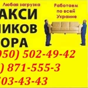 Перевозки Пенопласт Харьков. Перевозка Утеплитель в Харькове. грузчики