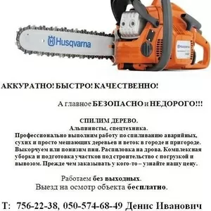 Спил деревьев,  спилить деревья,  ветки,   удалить пень,  кронировать Харьков