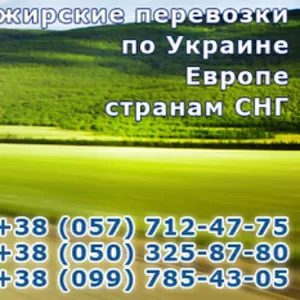 Фирма Икарус - регулярные рейсы в любую точку Украины