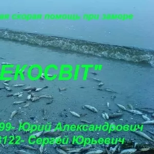 Известь для прудов