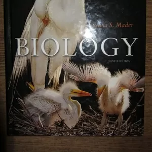 Biology  Биология