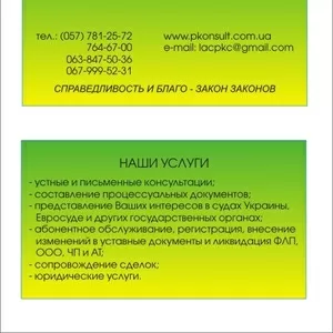 Подача жалоб в Европейский суд по правам человека,  юридические консуль