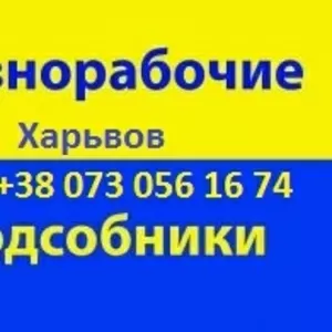 Предоставлю подсобников Харьков 0730561674