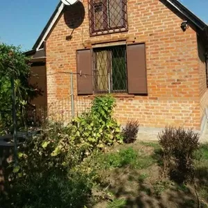 Продам дом-дачу в Ледном (Бавария) 70 м. дом