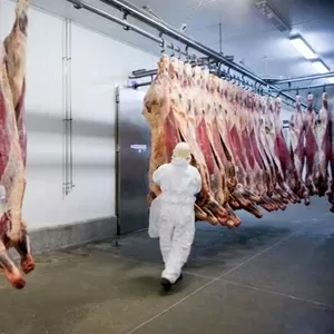 Требуются обвальщики на мясокомбинат,  Литва