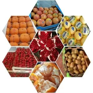Экспортные фрукты(киви, клубника, лимон, апельсин, мандарин и т.д)