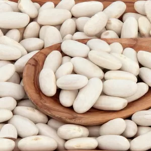 Квасоля різних сортів в наявності