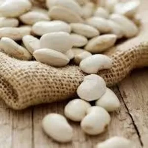 Посівний матеріал квасолі та гарантія стабільного збуту!