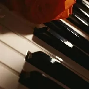 Настройка пианино,  роялей Харьков - 200 гр.