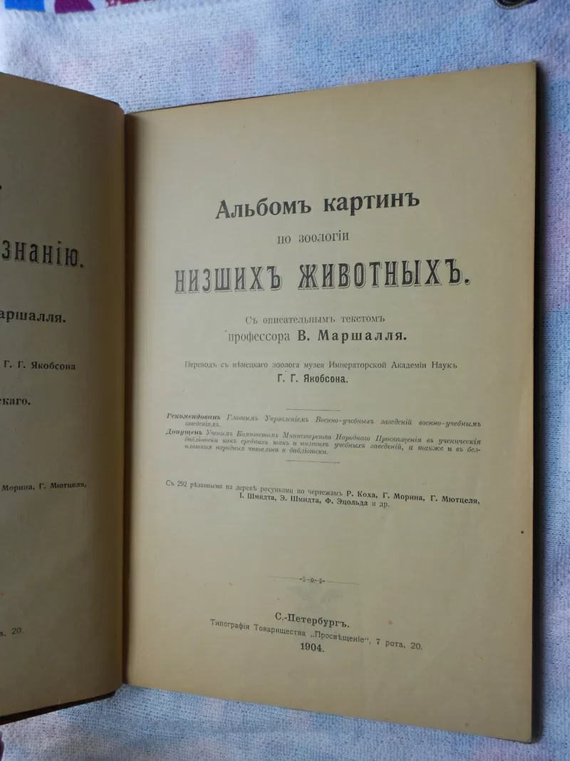 Альбом картин по зоологии низжих животных 1904 года 2