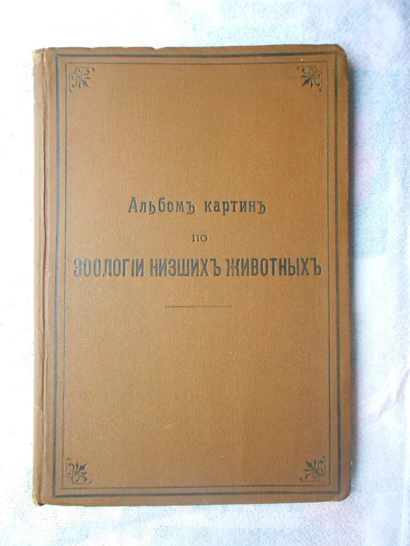 Альбом картин по зоологии низжих животных 1904 года