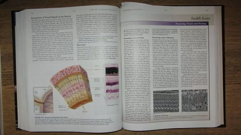 Biology  Биология 4