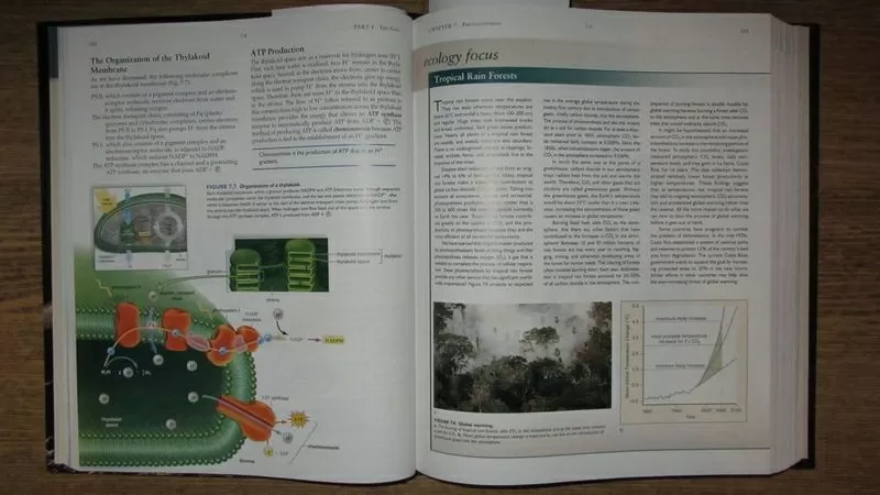 Biology  Биология 6