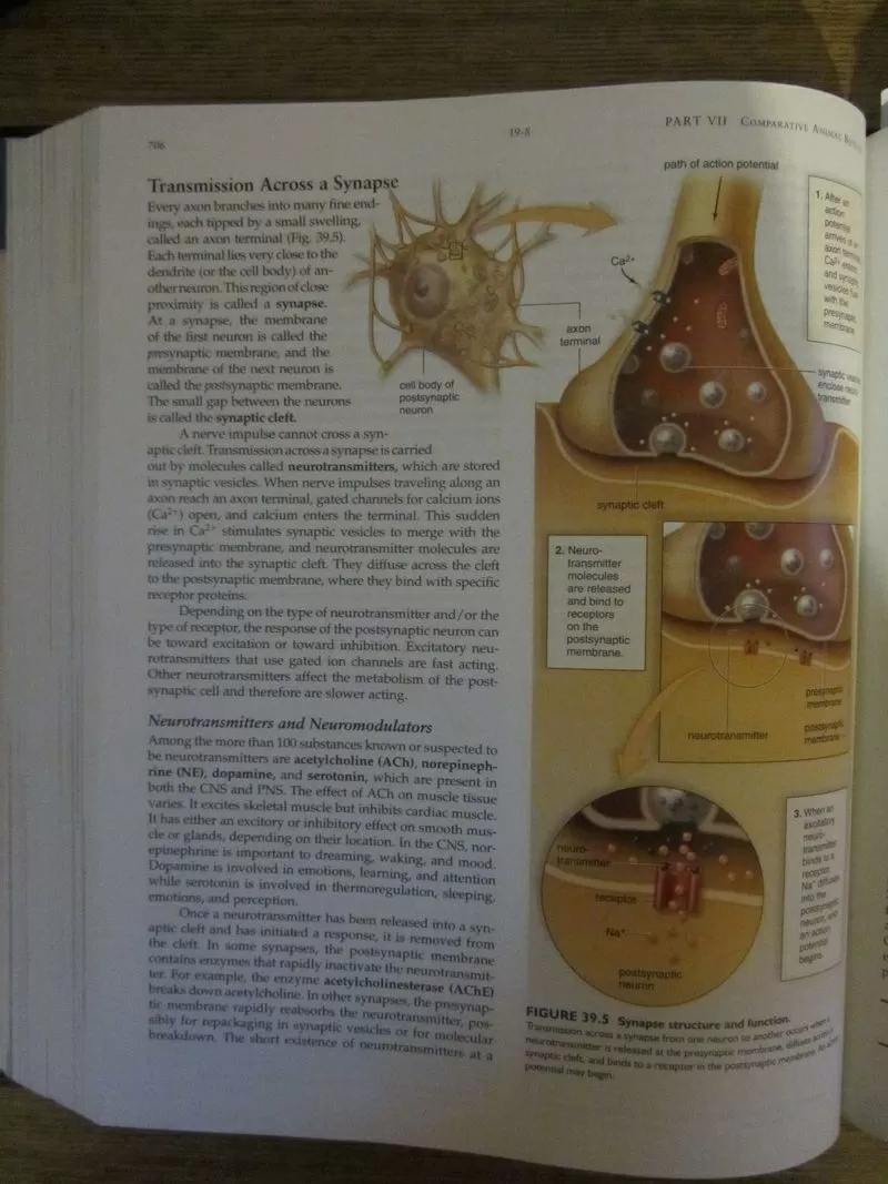 Biology  Биология 8