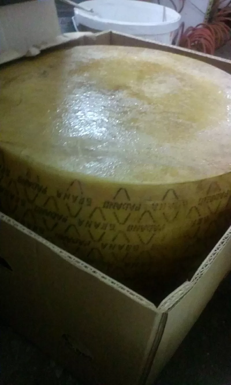 Сыр Grana Padano (Грана падано)