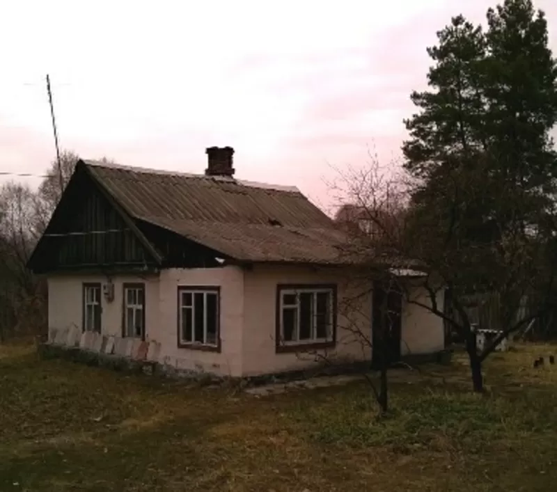 Дом-дача в сосновом лесу! с.Курортное. Торг уместен!