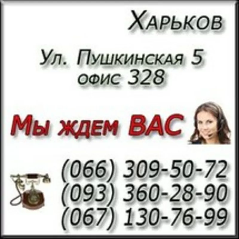 Курсы WEB дизайна. Харьков 3