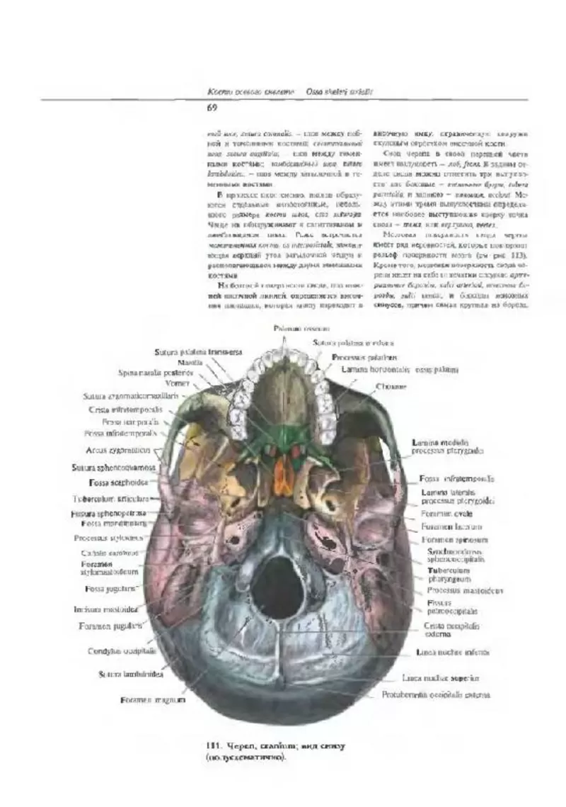 атлас анатомии Синельникова 4 тома