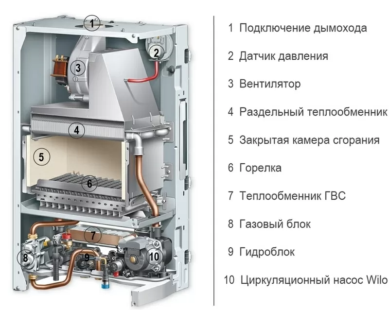 Надежный двухконтурный газовый котел Protherm Lynx 24 (РЫСЬ)  2