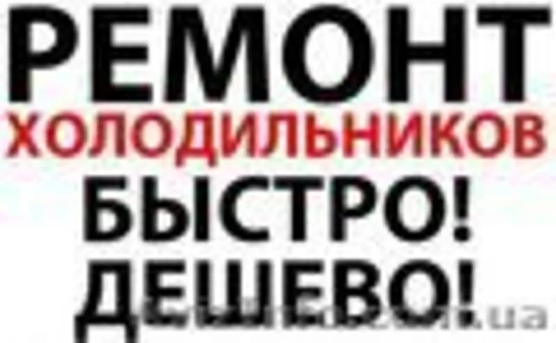 Ремонт холодильников ВСЕХ мировых производителей 3