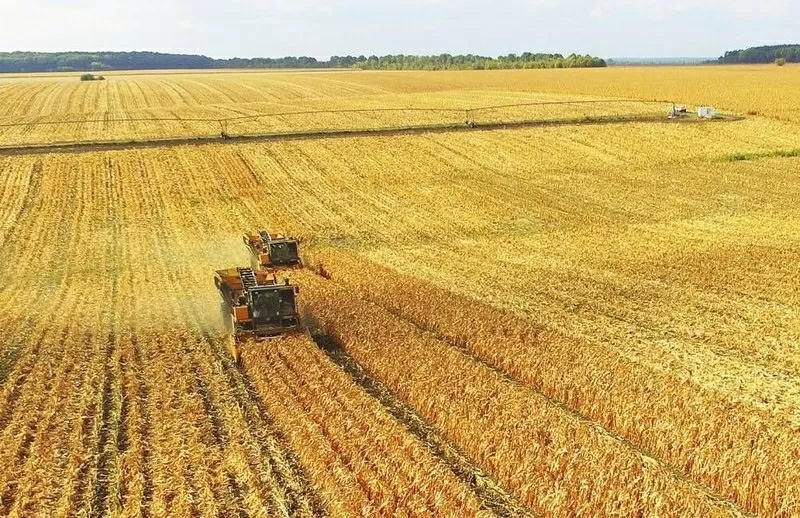 Сельхозпредприятия в Украине. Куплю.