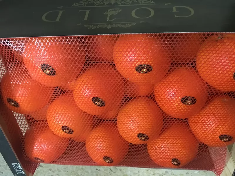 Продаем апельсины из Испании 6