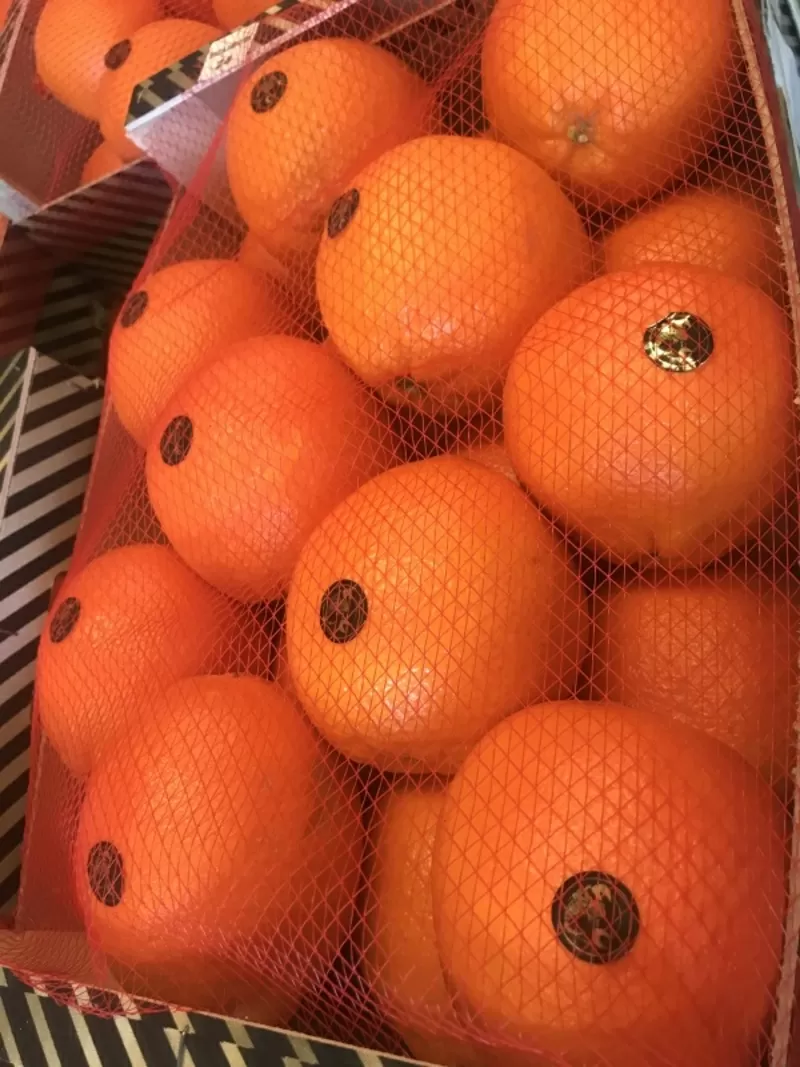 Продаем апельсины из Испании 5