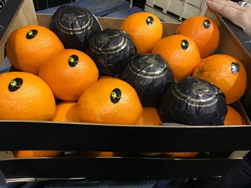 Продаем апельсины из Испании 4