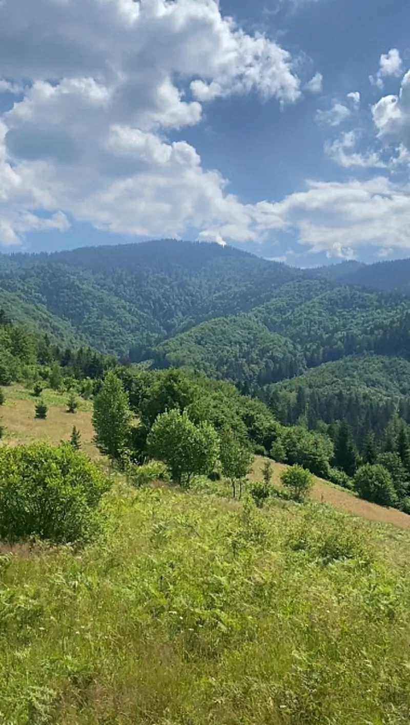 Земельна ділянка с. Ізки Закарпатська обл 3