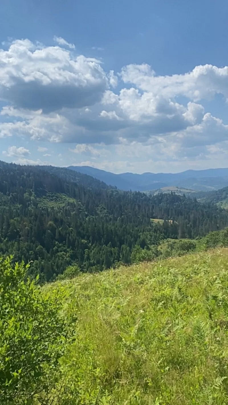 Земельна ділянка с. Ізки Закарпатська обл 4