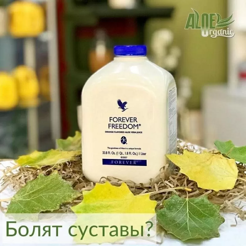 Откройте успешный интернет-магазин ЭКО продукции по возвратной франшиз 2