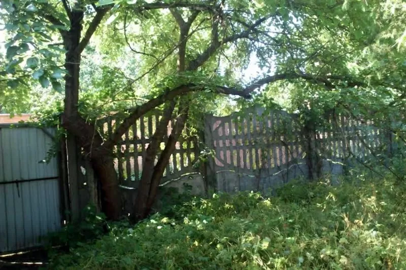 Продам дачу в Осокорках Киев. 2