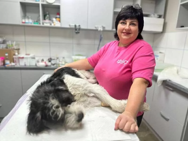 Ветклініка 