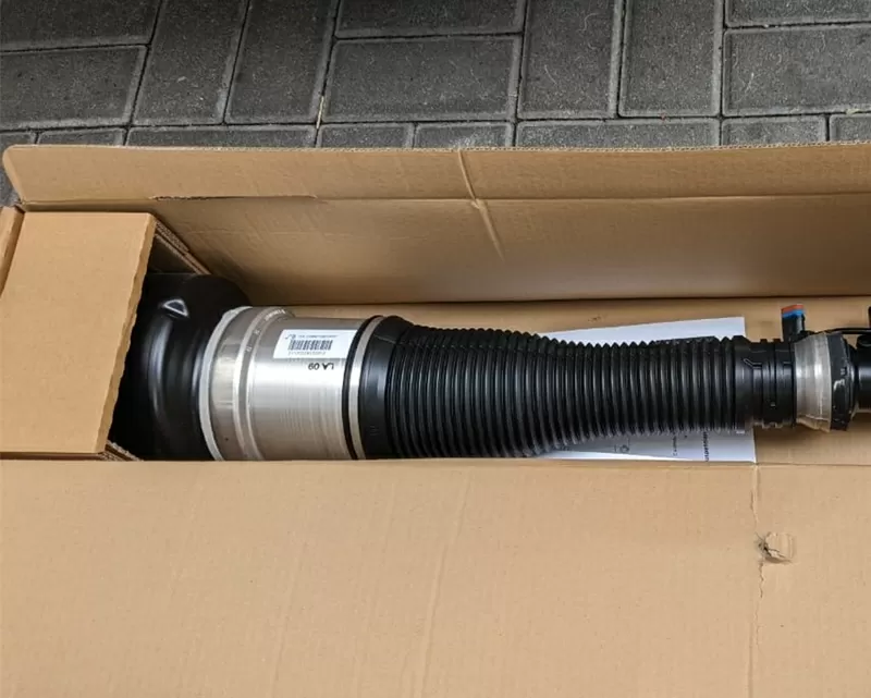 Пневмоамортизатор задний правый Mercedes S W221, CL C216 A2213205613 2